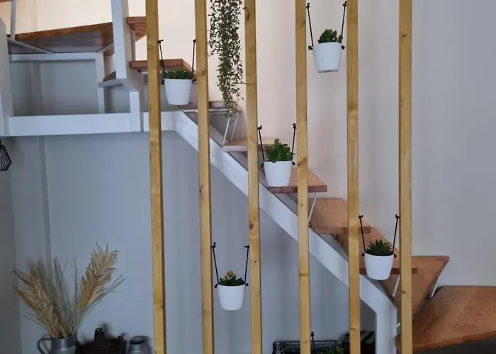 Apartamento Casina Ermi